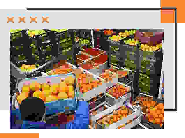 Перевозка скоропортящихся продуктов в Лениногорске